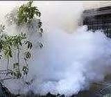 Mr Fogging (semprot nyamuk) - Badung Kab. - Jasa