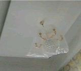 Pusat pemasangan plafon gypsum kota padang - Pasaman Barat Kab. - Jasa