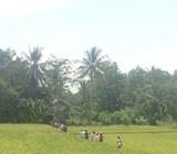 Dicari Tukang Obras Wanita - Jakarta Barat - Lowongan