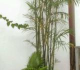 Lowongan kerja kuliner - Kendal Kab. - Lowongan