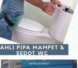 Ahli pipa mamoet dan sedot wc di Bali - Badung Kab. - Jasa