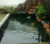 Kolm koi relif terjun / tukang kolam - Tangerang Selatan Kota - Rumah Tangga