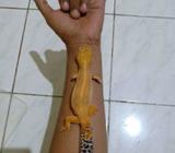 Leopard gecko jumbo gede banget - Surabaya Kota - Hewan Peliharaan
