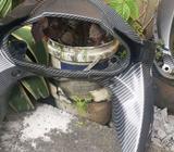 Dasbor spedo ninja 250r.carbon celup - Jakarta Barat - Motor