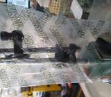 Magnetic Base Stand Dial Indicator 60kgf INSIZE 6201-60 - Jakarta Selatan - Kantor & Industri