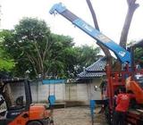 Ahlinya Forklift utk kegiatan Indutri/Pabrik anda di Pati dan sekitar - Pati Kab. - Kantor & Industr